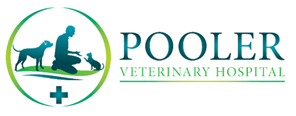 Pooler Veterinary Hospital